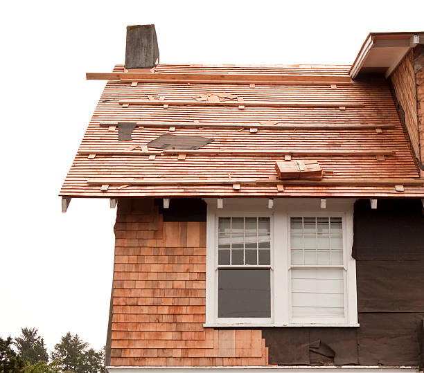 Affordable Siding Repair and Maintenance Services in Cerro Gordo, IL